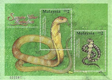 Ular tedung selar,kg chulek, gopeng ,perak,malaysia. DUNIA SETEM : Species of snakes in Malaysia Stamp 2002