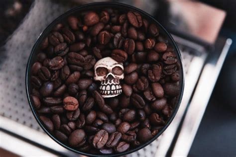 The test results are in: Death Wish Coffee Review: Everything You Need to Know!