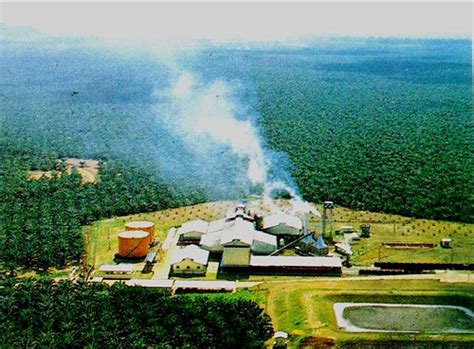 The pulp is with high moisture content and rich lipase in palm oil mill. Industrial scale pyrolysis the easiest to use: Continuous ...
