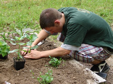 I am really impressed with this blog and enjoyed reading it. Gardening | NC State Extension