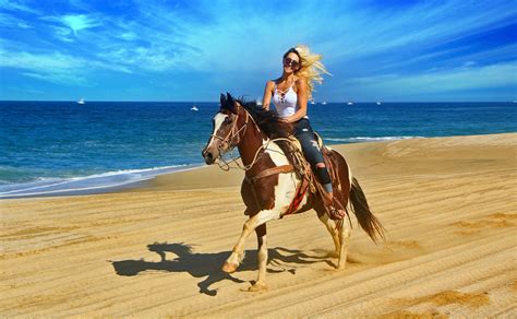 Although they might share a coastline, they are very 13. Horseback Riding On The Beach - Fun Cabo