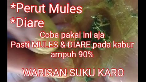 Ketika melihat si kecil diare hingga. Obat Sakit Perut Alami | warisan suku Karo - YouTube