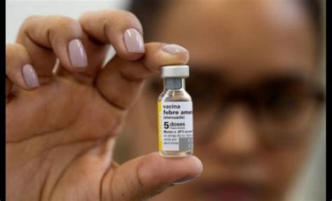 La vacuna contra la fiebre amarilla es una vacuna que protege contra la fiebre amarilla. Recomendaciones Vacunas
