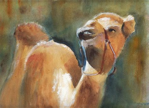 Bactrain camels produce about 7 kilograms (15 pounds) of fibre annually. Bunny's Artwork: CAMEL ORIGINAL WATERCOLOR PAINTING