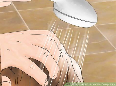 3 Ways to Get Rid of Lice With Orange Juice - wikiHow