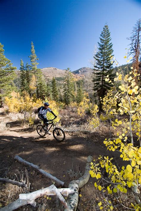 We're located right on the city bike path which leads to gorgeous south tahoe beaches and lakes, as well as a healthy road bike ride away from. Over The Edge Bikes & Coffee - South Lake Tahoe Bike Shop