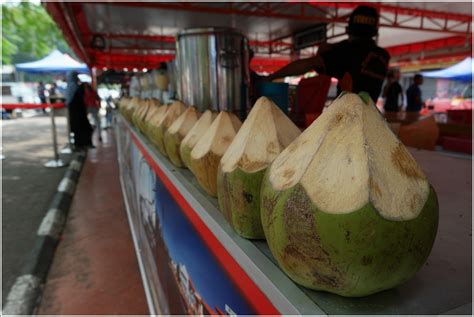 Pasti ramaikan akan menggemari rasa keenakkan coconut shake bukan. Resepi Coconut Shake Batu Berendam - Surat Rasmi H