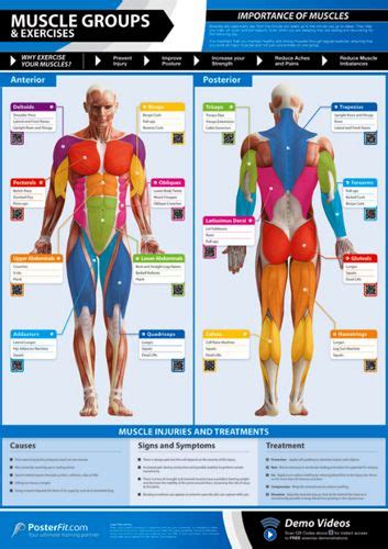 Working your back using just your bodyweight is tough. Muscle Groups and Exercises Professional Fitness Training ...