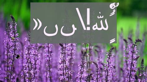 Check spelling or type a new query. Urdu Font - FFonts.net