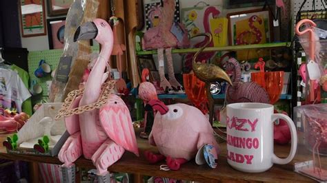 So, if a florida exotics vet is what you are looking for, check out this not all florida exotics vets see all exotic pets so be sure you call the clinic of your choice to see if they see your pet! The Official Florida Flamingo Museum (Ocala) - 2020 All ...