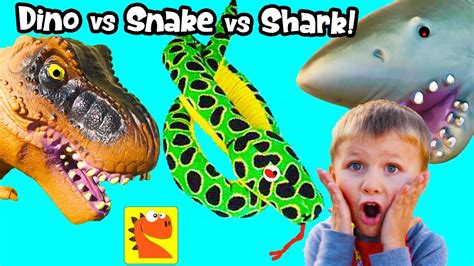 You can stream all nrl matches live by joining us. SHARK FIGHT! DINOSAUR Vs SNAKES! Dragon Toy FUN with ...