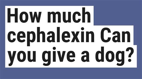 How much kaopectate can you give a dog. How much cephalexin Can you give a dog? - YouTube