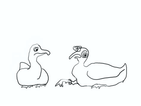 Download Arctic Hare Coloring Page at GetDrawings | Free download
