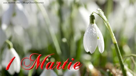 Mărțișor (mərt͡siˈʃor) is a celebration at the beginning of spring, on march the 1st in romania, moldova, and all territories inhabited by romanians. Felicitari personalizate de 1 Martie - 1 Martie - mesajeurarifelicitari.com