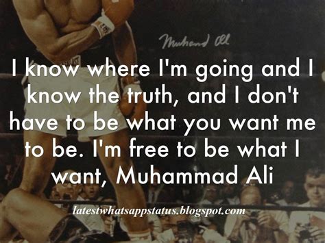 Another man in your place would, i'm sure, have begun to pester me, to worry me. i am falling in love with you again quotes Whatsapp Quotes ...