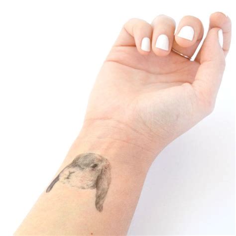 For instance, in mediterranean europe, rabbits are the main prey of red foxes, badgers, and iberian lynxes. temporary bunny tattoo | Konijn tatoeages, Tijdelijke ...