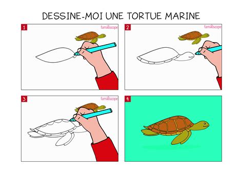 Apprendre a dessiner des animaux. Apprendre à dessiner une tortue marine en 3 étapes