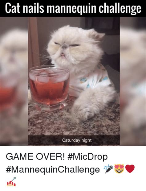 It's the best time off from work with friends and family. Cat Nails Mannequin Challenge Caturday Night GAME OVER! # ...