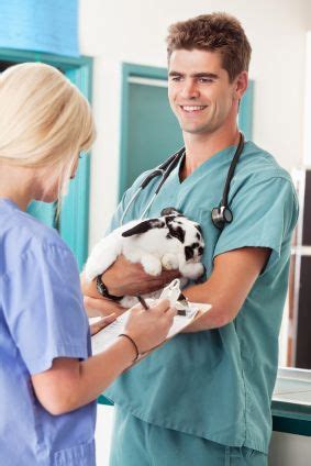 Veterinary assistant job description indeed. Veterinary Assistant | Job Requirements, Responsibilities ...