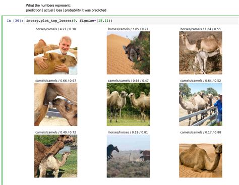 Actually i more often hear of camel being used as a jms consumer than a producer, but it's built to work both ways. Fastai Week 1 Classifying Camels Horses And Elephants - home