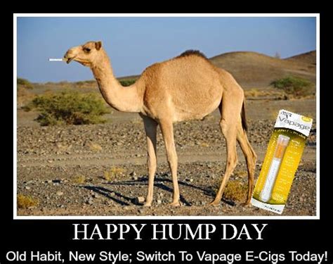 Otherwise, i'm going to end up lost in the wilderness one more time. Pin on Vaping Quotes & Anti Smoking Ads