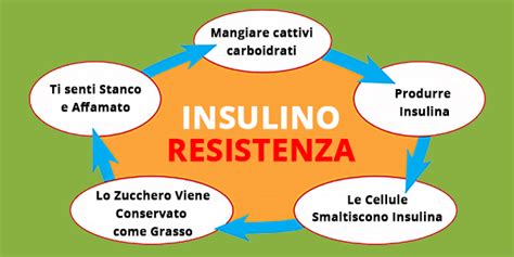 Se siete resistenti all'insulina, allora si ha una bassa. Insulino resistenza: cosa bisogna sapere e come risolvere ...