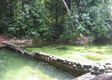 Menurutnya, sebanyak 22 inisiatif akan dilaksanakan di bawah pakej bantuan permai yang berteraskan kepada tiga matlamat utama. Permai Rainforest Resort | Hotels in Santubong | Audley Travel