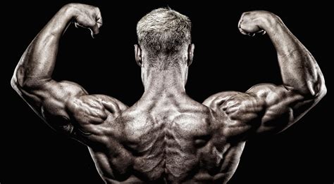 Chest muscles anatomy for bodybuilders. Anatomy Facts Every Bodybuilder Should Know | Muscle & Fitness