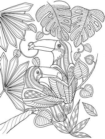 Tropical plants and sitting toucan. Toucan Coloring Pages - coloring.rocks! | Animal coloring ...