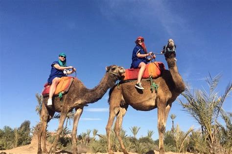 In foum tizza you have enough time to explore the sand. Marrakech Day Trip including Lunch, Camel Ride from ...