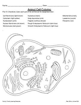 These printables are simple, and you can get them in black and white or color. Plant vs. Animal Cell Coloring and Test Your Knowledge ...