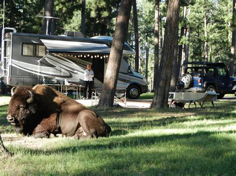 This rate includes a full breakfast and nightly dessert on the deck facing mount rushmore. Pin by Camp Cross Stitch / Karen Ezel on Camping | Custer ...