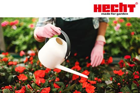Mieter sollten mit dem gießen ihrer balkonblumen warten bis sich erkennbar keine nachbarn unter dem balkon befinden. Blumen gießen: Wann ist die beste Zeit dafür? | Ratgeber