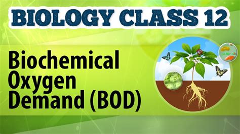 Most wastewater test results will be reported in either milligrams per liter (mg/l) or. Biochemical Oxygen Demand (BOD) - Microbes in Human ...