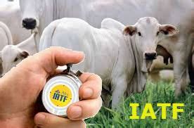 Over 100,000 english translations of italian words and phrases. IATF - Procreare