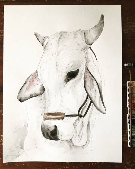 High quality brahman cattle inspired art prints by independent artists and designers from around the world. A personal favorite from my Etsy shop https://www.etsy.com/listing/584093729/large-18x-24-floppy ...