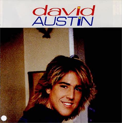 Tribute to one of my favorite musicians, frontman of woods of ypres, who died a tragic death on december 21st, 2011. David Austin Turn To Gold Japanese Promo 7" vinyl single (7 inch record) (176709)