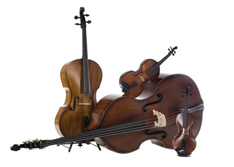 Ricci Carbon Instruments | High-class orchestra and concert instruments made of carbon