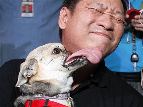 Kabang hasn't published anything yet. Dog hero 'Kabang' returned home,