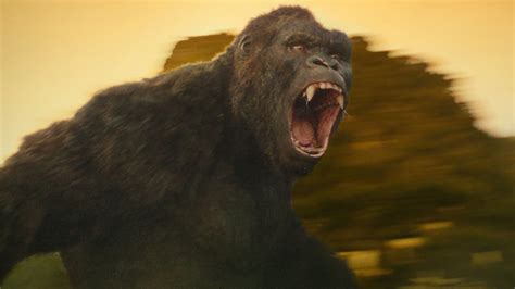 Kong trailer, despite not having lived that long in comparison to other titans in the. „Godzilla vs. Kong": Erstes Bild vom Duell der Giganten ...