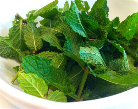 Check spelling or type a new query. From the Garden: Fresh Mint Homemade Ice Cream Recipe