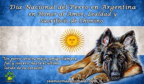 La fecha recuerda la muerte de chonino, un perro ovejero alemán que era de la policía federal argentina. 2 de Junio - Día Nacional del Perro ~ JARDINES al SUR