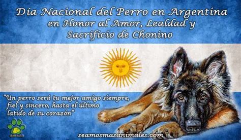 La fecha recuerda la muerte de chonino, un perro ovejero alemán que era de la policía federal argentina. 2 de Junio - Día Nacional del Perro ~ JARDINES al SUR