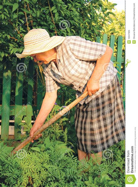 We did not find results for: Alte Frau, Die Im Garten Arbeitet Stockbild - Bild von ...