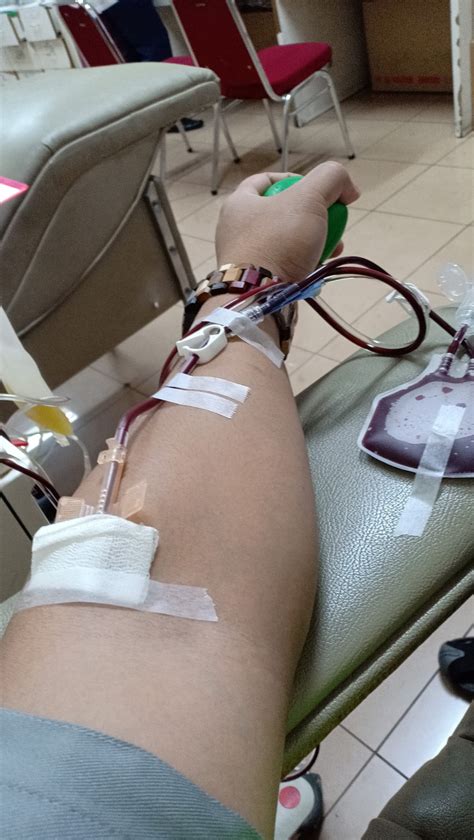 Perbarisan dan perhimpunan hari kebangsaan 2015 peringkat daerah kulaijaya august 31, 2015; Donor di bulan kemerdekaan | Blood4Life.ID