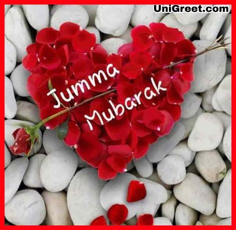 We did not find results for: 50 Beautiful Jumma Mubarak Images Photos Shayari For ...