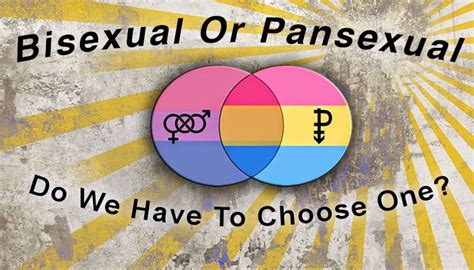 Film sexually fluid vs pansexual indonesia mp3 & mp4. Pin on Pansexual Pride