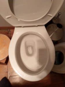 (i wouldn t notice except the toilet is often sluggish.) this is been occurring for about three weeks. Worm in Toilet is Nothing to Worry About - All About Worms