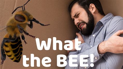 Bees are pollinators and are a necessary part of the agricultural system. Bees in Attic? How to get rid of bees in attic 👉 3 ...