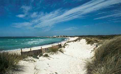In mallorca we have one of the most beautiful beaches on the balearic islands: Es trenc beach, Mallorca, spain - Windward Islands